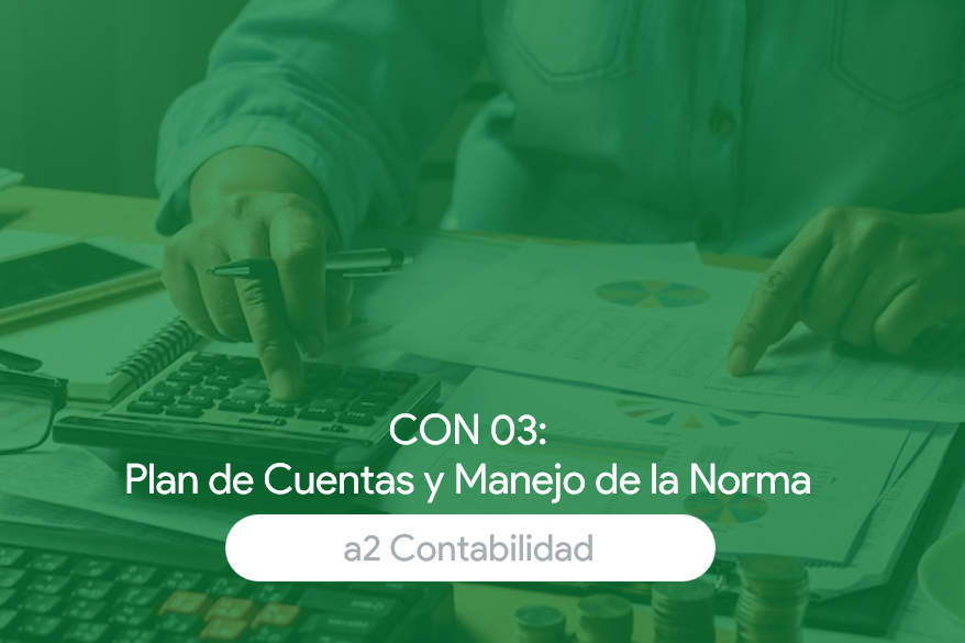 Plan de Cuentas y Manejo de la Norma